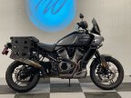 Thumbnail Photo 5 for 2021 Harley-Davidson Pan America Special