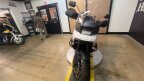 Thumbnail Photo 6 for 2021 Harley-Davidson Pan America Special