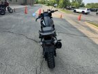 Thumbnail Photo 2 for 2021 Harley-Davidson Pan America Special