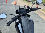 Thumbnail Photo 3 for 2021 Harley-Davidson Pan America Special