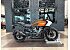 2021 Harley-Davidson Pan America
