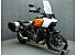 2021 Harley-Davidson Pan America Special