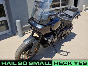 2021 Harley-Davidson Pan America Special
