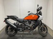 2021 Harley-Davidson Pan America Special