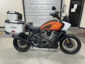 2021 Harley-Davidson Pan America Special