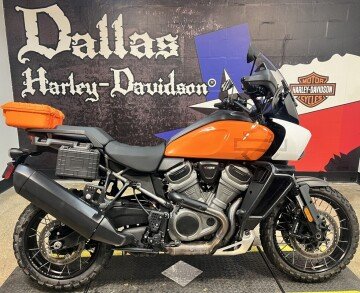 2021 Harley-Davidson Pan America Special
