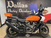 2021 Harley-Davidson Pan America Special