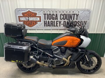 2021 Harley-Davidson Pan America Special