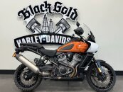 2021 Harley-Davidson Pan America Special
