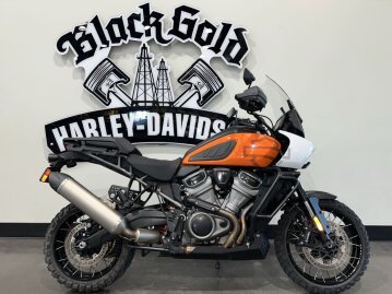 2021 Harley-Davidson Pan America Special