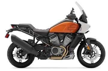 2021 Harley-Davidson Pan America Special
