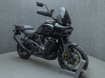 2021 Harley-Davidson Pan America Special