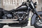 Thumbnail Photo 1 for 2021 Harley-Davidson Softail