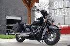 Thumbnail Photo 3 for 2021 Harley-Davidson Softail