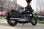 Thumbnail Photo 4 for 2021 Harley-Davidson Softail