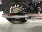 Thumbnail Photo 5 for 2021 Harley-Davidson Softail