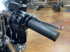Thumbnail Photo 2 for 2021 Harley-Davidson Softail