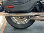 Thumbnail Photo 6 for 2021 Harley-Davidson Softail