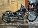 Thumbnail Photo 4 for 2021 Harley-Davidson Softail