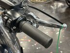Thumbnail Photo 2 for 2021 Harley-Davidson Softail