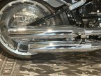 Thumbnail Photo 5 for 2021 Harley-Davidson Softail