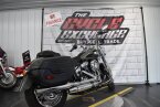 Thumbnail Photo 2 for 2021 Harley-Davidson Softail