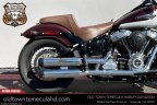 Thumbnail Photo 1 for 2021 Harley-Davidson Softail