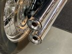Thumbnail Photo 4 for 2021 Harley-Davidson Softail Standard