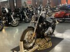 Thumbnail Photo 1 for 2021 Harley-Davidson Softail Standard
