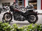 Thumbnail Photo 6 for 2021 Harley-Davidson Softail Low Rider S