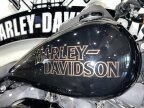 Thumbnail Photo 4 for 2021 Harley-Davidson Softail Low Rider S