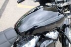Thumbnail Photo 6 for 2021 Harley-Davidson Softail