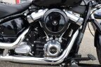 Thumbnail Photo 3 for 2021 Harley-Davidson Softail