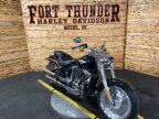 Thumbnail Photo 2 for 2021 Harley-Davidson Softail Fat Boy 114