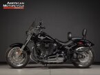 Thumbnail Photo 5 for 2021 Harley-Davidson Softail Fat Boy 114