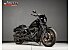 2021 Harley-Davidson Softail Low Rider S