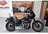 2021 Harley-Davidson Softail