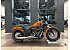2021 Harley-Davidson Softail