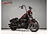 2021 Harley-Davidson Softail Low Rider S
