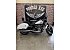 2021 Harley-Davidson Softail Sport Glide