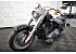 2021 Harley-Davidson Softail