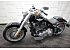 2021 Harley-Davidson Softail