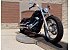 2021 Harley-Davidson Softail
