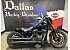 2021 Harley-Davidson Softail Low Rider S