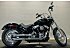 2021 Harley-Davidson Softail