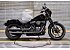 2021 Harley-Davidson Softail