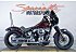 2021 Harley-Davidson Softail
