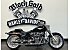 2021 Harley-Davidson Softail Fat Boy 114