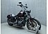2021 Harley-Davidson Softail Low Rider S