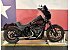 2021 Harley-Davidson Softail